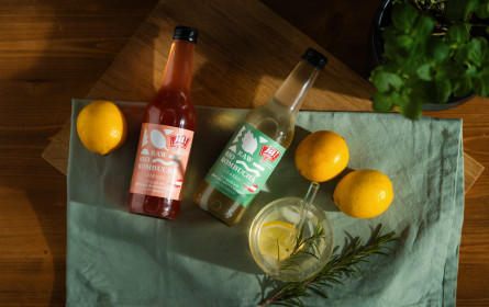 Kombucha kann jetzt auch österreichisch