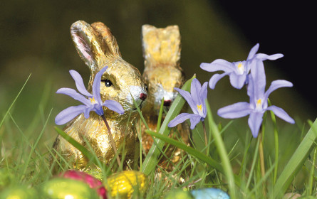 Ei’mal im Jahr dreht sich alles ums Nest