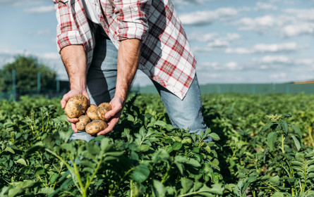 Landwirtschaftliche Einkommen 2024 gestiegen