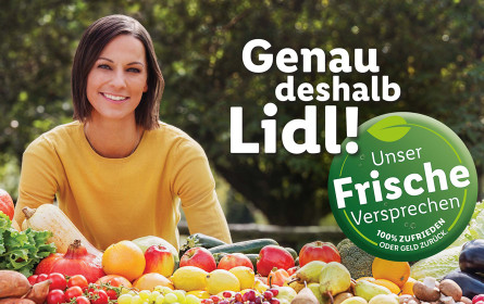 Focus TV-Champions: Lidl vor Mc Donald’s