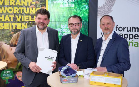 Wellpappe-Industrie mit gemischter Bilanz 2024