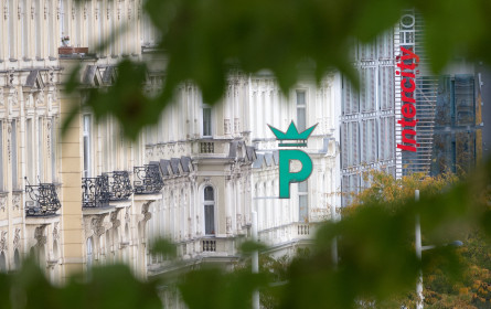 Investor aus dem Ausland soll Wäschehändler Palmers retten