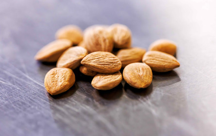 Aprikosenkerne als smarte Alternative für Europa