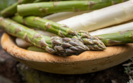 Spargel-Ernte läuft jetzt auf Hochtouren