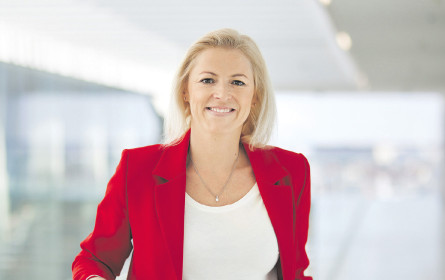 Google hält uns weiter auf Trab