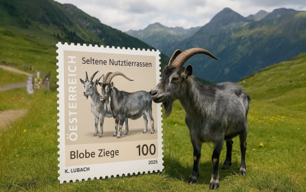 Briefmarke für Tiroler Blobe Ziege
