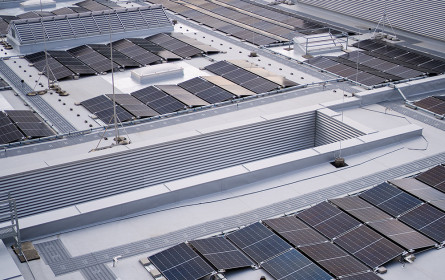 Fischapark nimmt Photovoltaik-Anlage in Betrieb