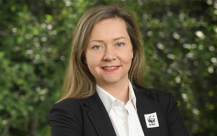 Einzelhandel und WWF fordern Maßnahmen für pflanzenreiche Ernährung