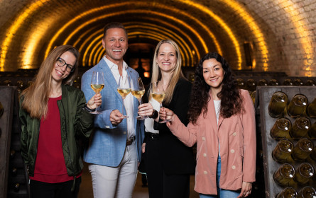 Schlumberger vergibt Mediaetat an Mediaplus Austria