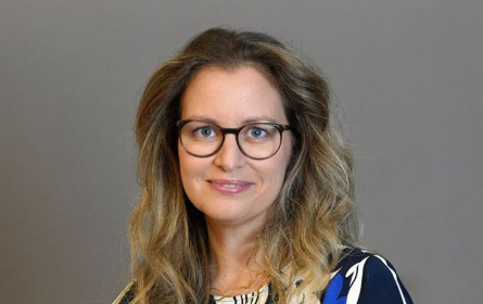 Mehr Nachhaltigkeit im Digitalmarketing