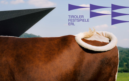 Awardregen für S&F Wien