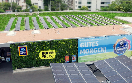 Hofer mit 150 PV-Anlagen