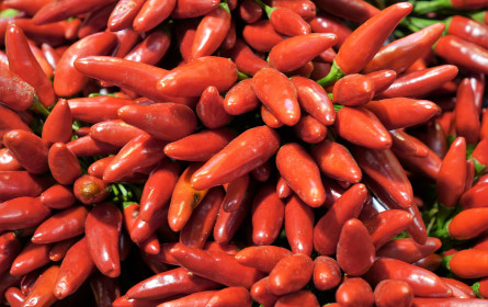 Greenpeace testete Paprikapulver und fand „Pestizid-Cocktails“