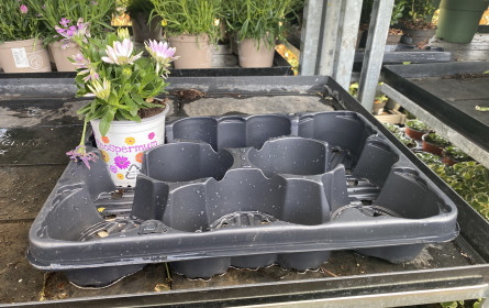 Mehrweg statt Müll: Pflanzentrays neu gedacht