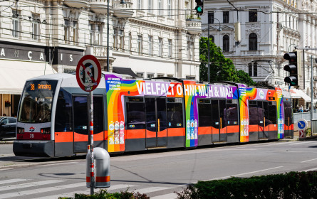 Joya &Us feiern Vielfalt ohne Muh und Mäh