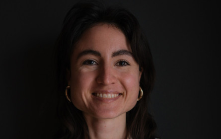 Scholz & Friends analysiert Marken 2025