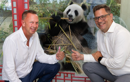 Infoscreen feiert Sommerfest im Tiergarten Schönbrunn