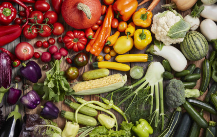 Steirischer Gemüsekorb ist jetzt besonders bunt