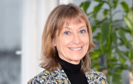 Himmelhoch setzt auf KI-Kommunikationsstrategie