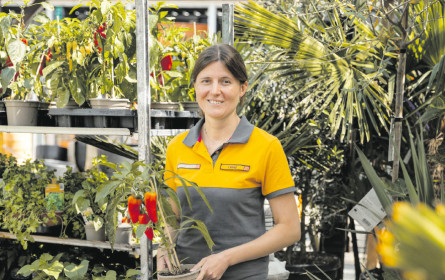 Zweite Chance für Pflanzen