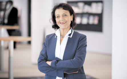 Wiener Handel warnt vor Temu