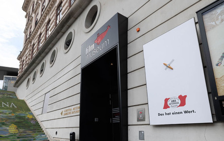 6 Mio. für eine Banane – Was ist ein Salzstangerl wert?