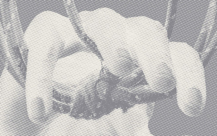 Demokratie leben: Kunst auf Citylights