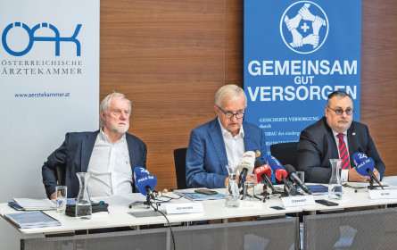 Kammer teilt aus