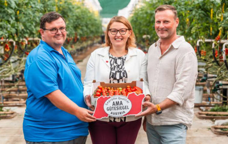 AMA-Marketing: Paradeiser oder Tomate? Hauptsache regional