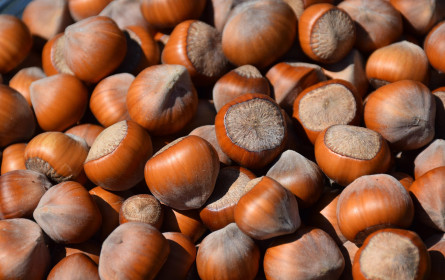 Haselnüsse werden teurer, auch wegen des Klimawandels