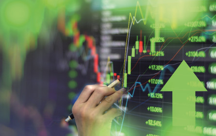 Scale-ups als  Innovationstreiber
