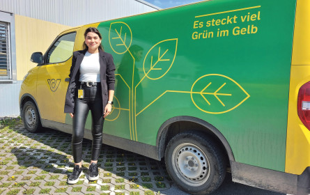 Karriere in Gelb