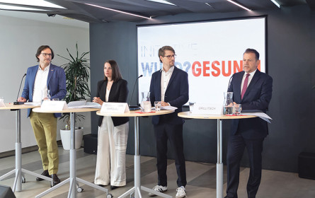 E-Health bei Wunden