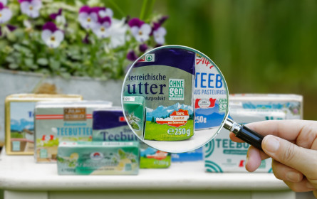 Marktstudie zur Gentechnik-freie Produktion 