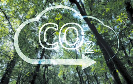 Weniger CO2 in der Werbung