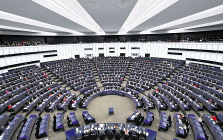 Positive Regulierung