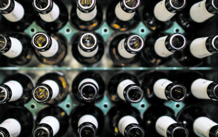 „Ökologisch sein ist ein Muss”