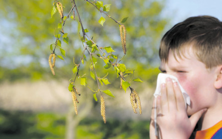 Allergie im Fokus