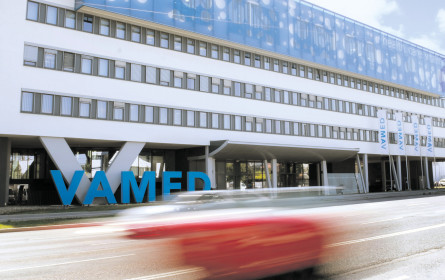 Neuer Vamed-Split