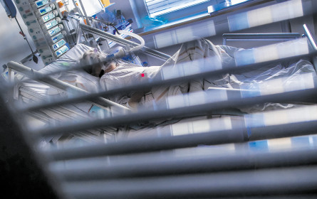 Ausgaben bleiben stabil