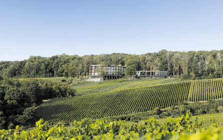 Loisium-Crowdinvestment