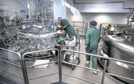 Pharmabranche zieht positive Bilanz für 2024