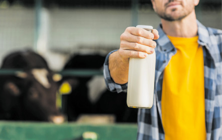 Bioanteil bei Milch wächst