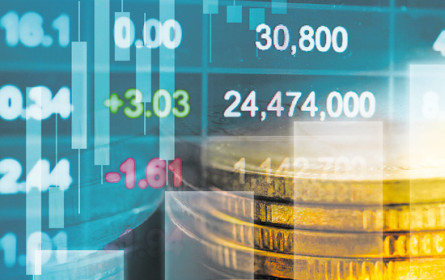 Starker Jahresauftakt