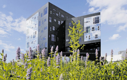 Health-Management jetzt als zeitgemäßes Studium