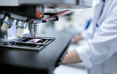 Wettlauf um Fettkiller