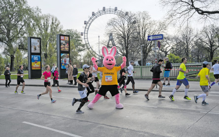 Pionierinnen der Branche im Porträt
