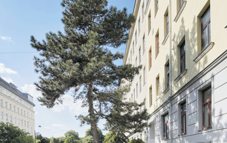 EHL vermarktet exklusiv