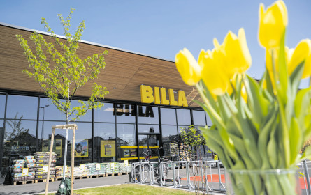 Billa investiert kräftig in Wien