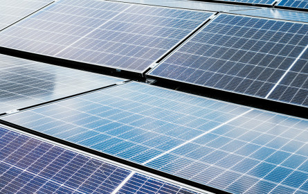 Fischapark ist jetzt noch nachhaltiger